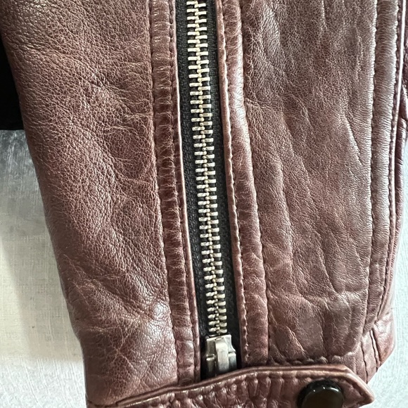 All Saints Conroy Crinkled Bike Jacket in Oxblood - Picture 5 of 11